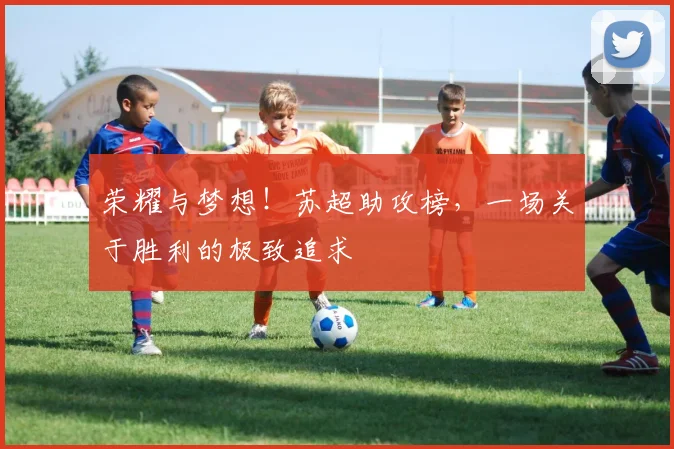 荣耀与梦想！苏超助攻榜，一场关于胜利的极致追求