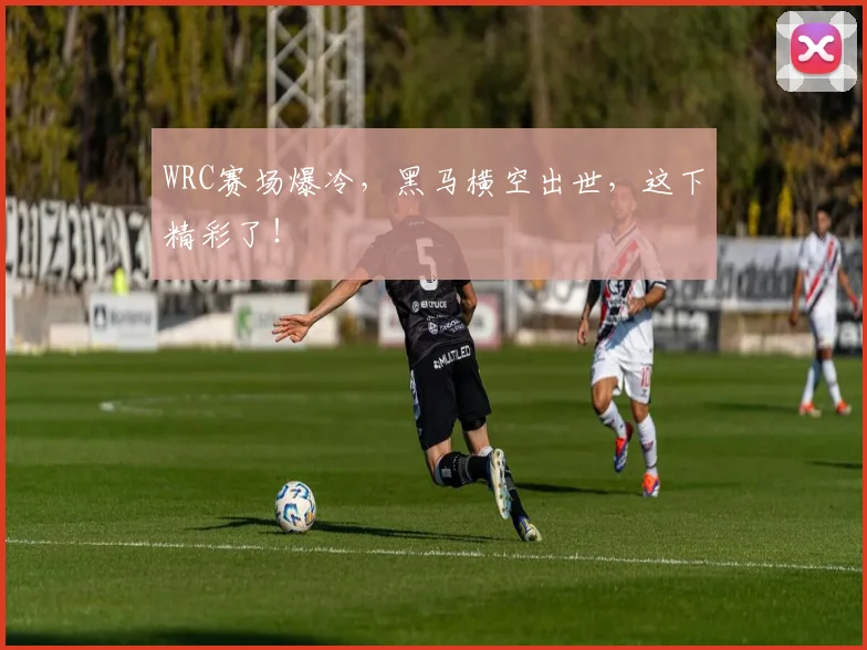 WRC赛场爆冷，黑马横空出世，这下精彩了！